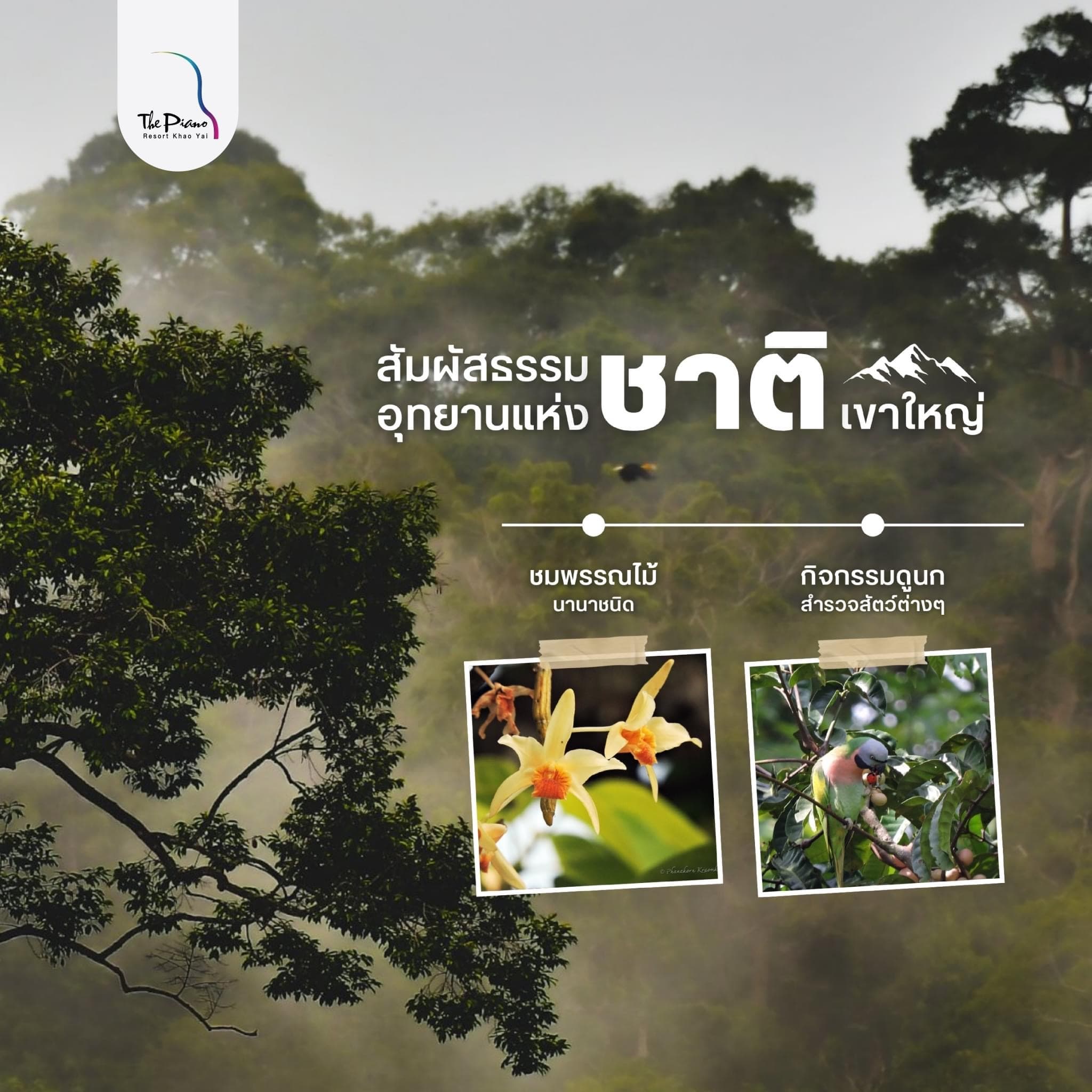 ชมสวนดอกไม้